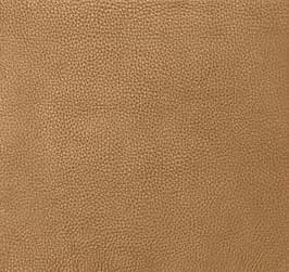 Camel Leather